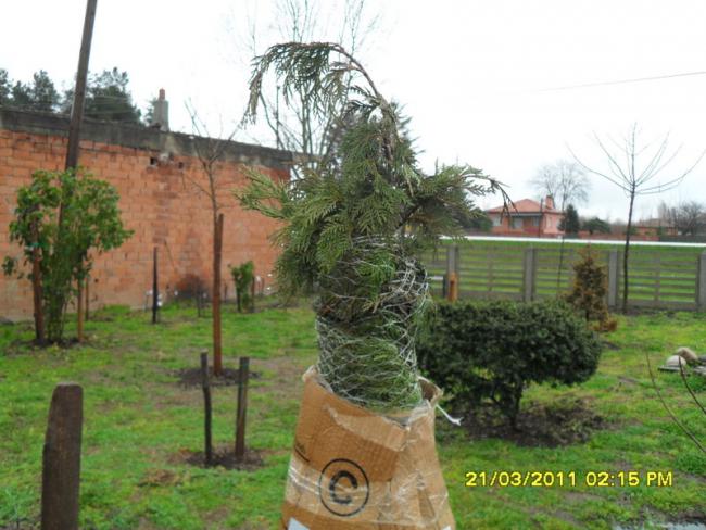 Name:  015.jpg
Views: 989
Size:  52.8 KB