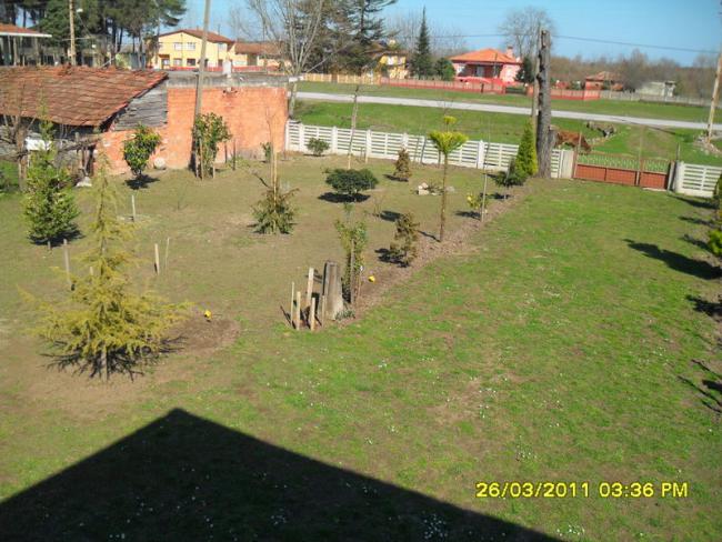 Name:  007.jpg
Views: 722
Size:  61.8 KB