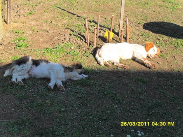 Name:  044.jpg
Views: 833
Size:  70.6 KB