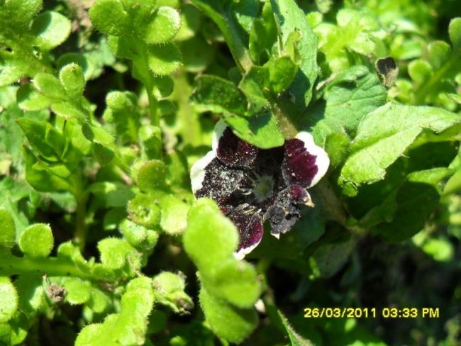 Name:  001.jpg
Views: 756
Size:  56.8 KB
