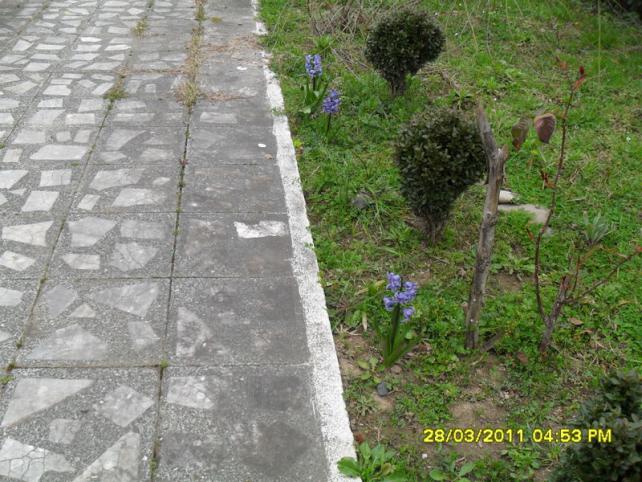 Name:  017.jpg
Views: 600
Size:  70.9 KB