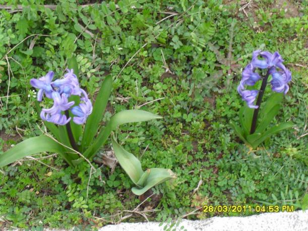 Name:  019.jpg
Views: 591
Size:  72.1 KB