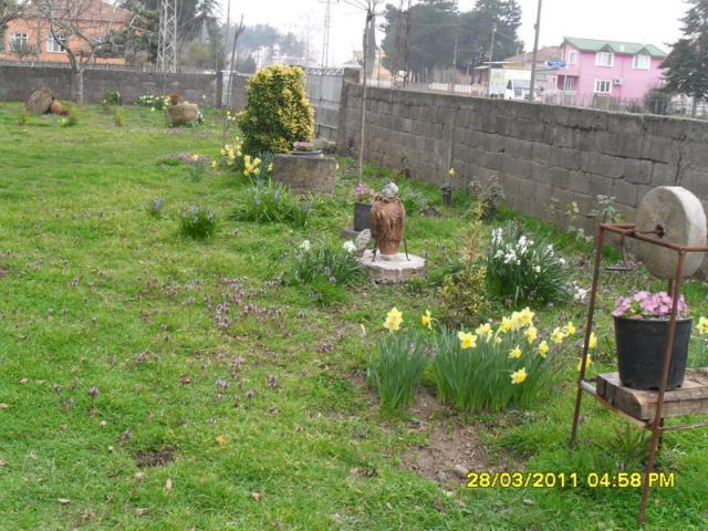 Name:  022.jpg
Views: 568
Size:  69.7 KB