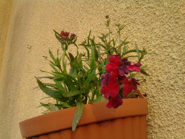 Name:  Fotoraf0447.jpg
Views: 887
Size:  64.6 KB