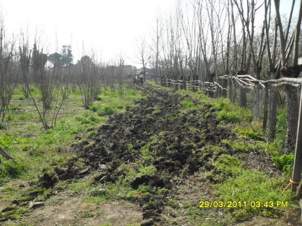 Name:  024.jpg
Views: 559
Size:  71.2 KB
