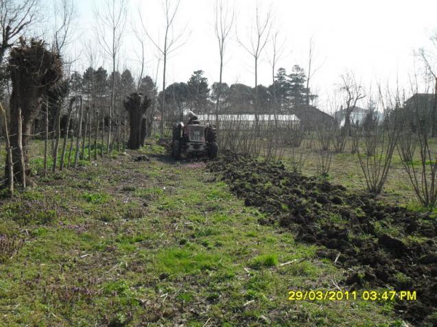 Name:  031.jpg
Views: 560
Size:  70.4 KB