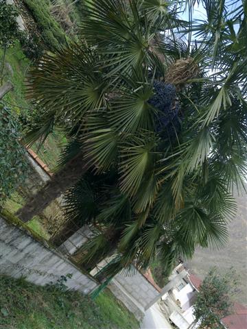 Name:  Resim10 037 (Kk).jpg
Views: 609
Size:  63.2 KB