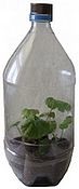 Name:  minigreenhouse.jpg
Views: 3865
Size:  8.7 KB