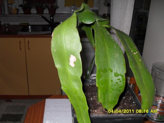 Name:  013.jpg
Views: 468
Size:  36.5 KB