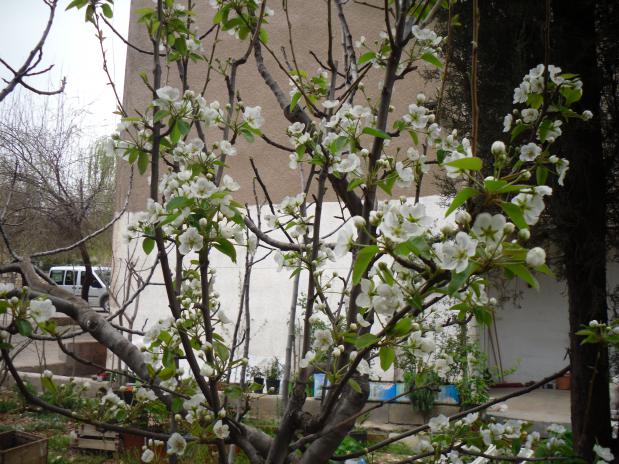 Name:  SDC11923 copy.jpg
Views: 721
Size:  71.0 KB