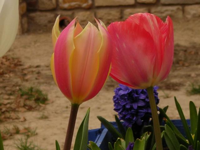 Name:  DSCN4540.jpg
Views: 670
Size:  33.6 KB