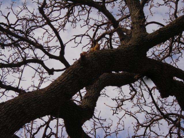 Name:  DSCN4467.jpg
Views: 533
Size:  66.1 KB
