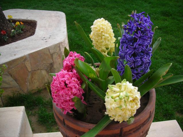 Name:  DSCN4604.jpg
Views: 511
Size:  51.2 KB