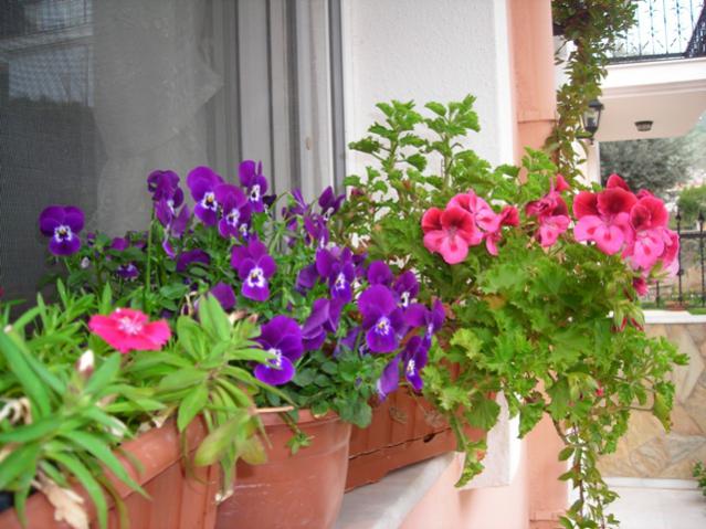 Name:  DSCN4601.jpg
Views: 534
Size:  55.6 KB