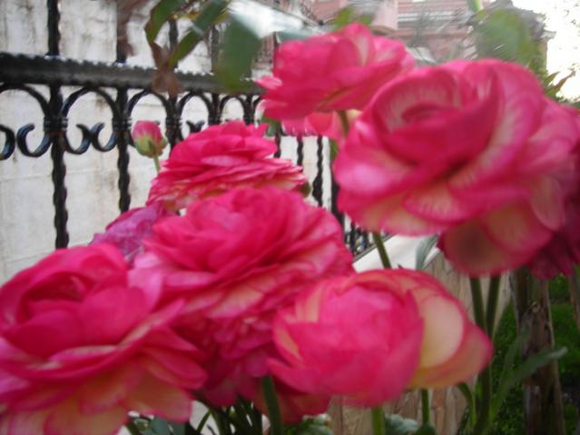 Name:  DSCN4743.jpg
Views: 528
Size:  38.2 KB