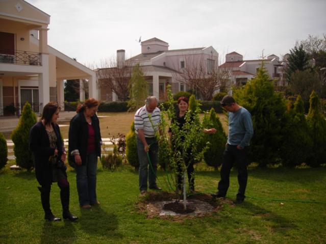 Name:  DSCN4815.jpg
Views: 509
Size:  43.2 KB