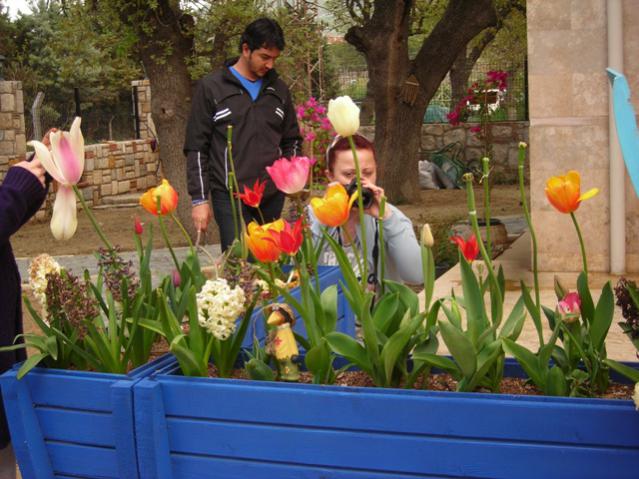Name:  DSCN4866.jpg
Views: 588
Size:  56.7 KB