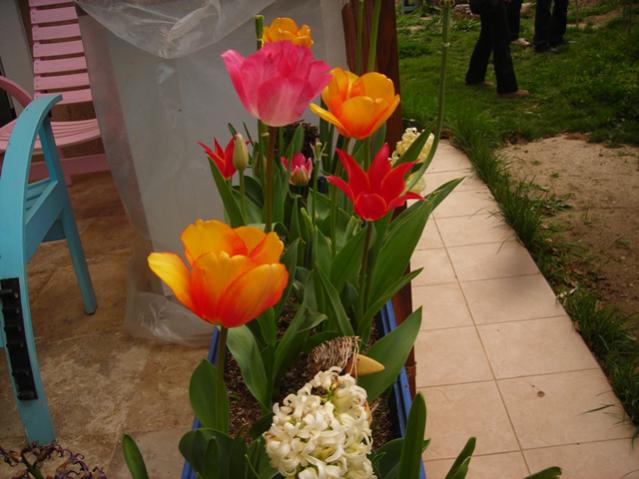 Name:  DSCN4853.jpg
Views: 554
Size:  44.2 KB