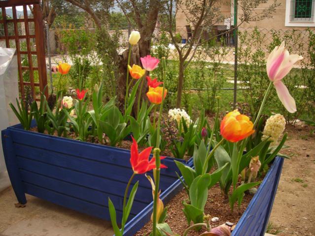 Name:  DSCN4850.jpg
Views: 568
Size:  66.0 KB