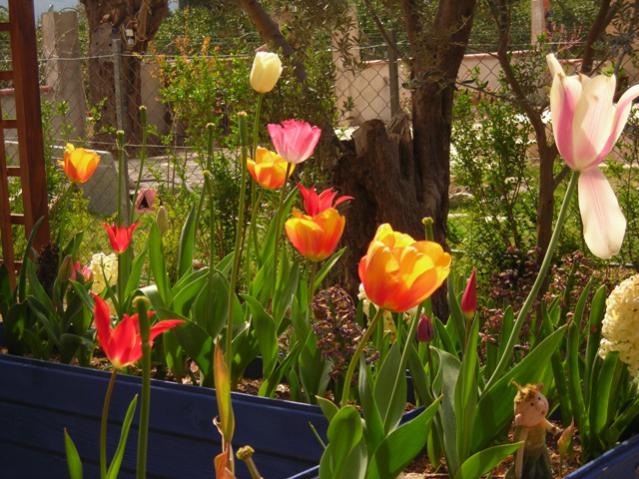 Name:  DSCN4873.jpg
Views: 570
Size:  64.4 KB