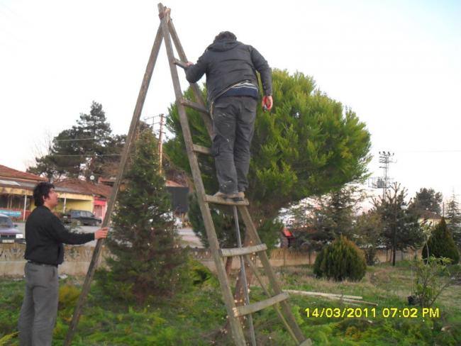 Name:  044.jpg
Views: 623
Size:  46.0 KB