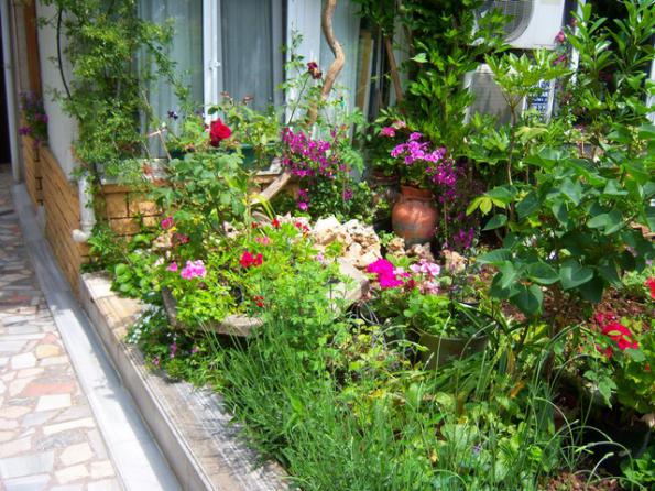 Name:  100_0788.jpg
Views: 11159
Size:  73.3 KB