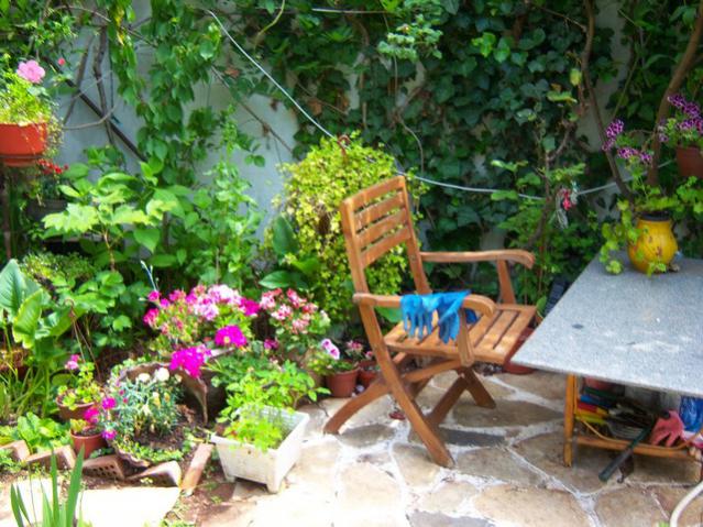 Name:  100_0791.jpg
Views: 11009
Size:  70.0 KB