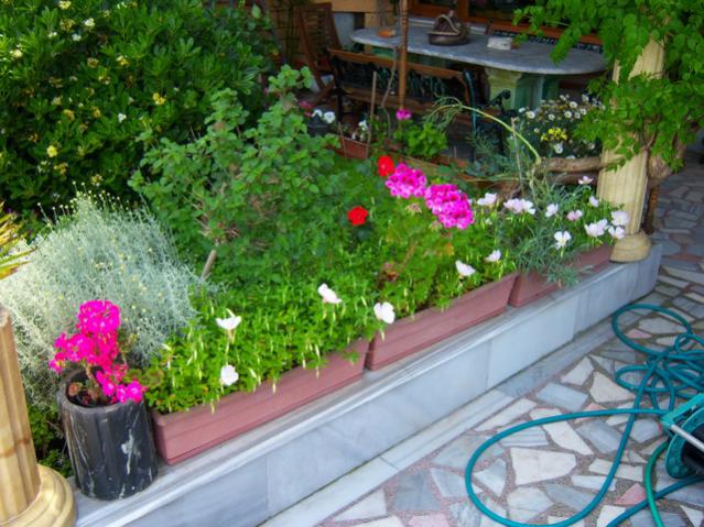 Name:  100_0797.jpg
Views: 11149
Size:  65.6 KB