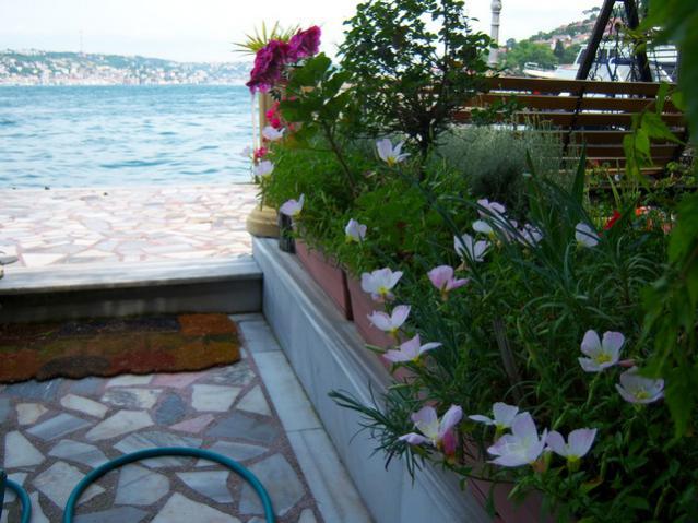 Name:  100_0799.jpg
Views: 10982
Size:  55.4 KB