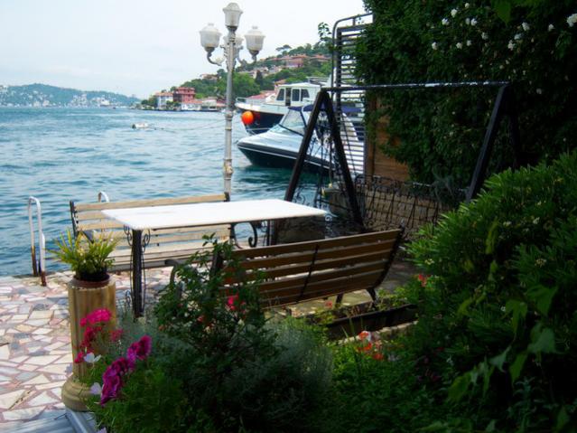 Name:  100_0800.jpg
Views: 10951
Size:  55.7 KB