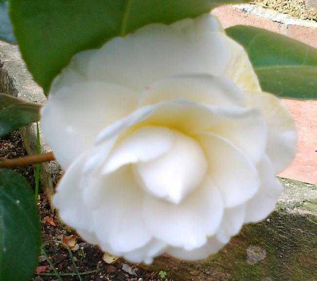 Name:  09042011437.jpg
Views: 903
Size:  42.3 KB