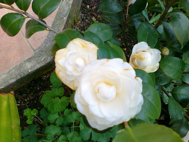 Name:  09042011438.jpg
Views: 867
Size:  53.5 KB