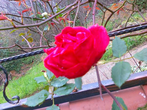 Name:  09042011446.jpg
Views: 902
Size:  71.2 KB