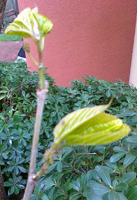 Name:  09042011451.jpg
Views: 852
Size:  77.5 KB