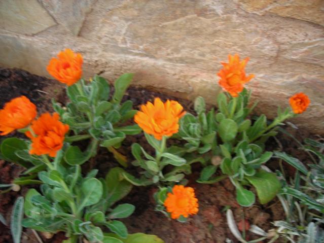 Name:  DSCN4704.jpg
Views: 475
Size:  48.8 KB