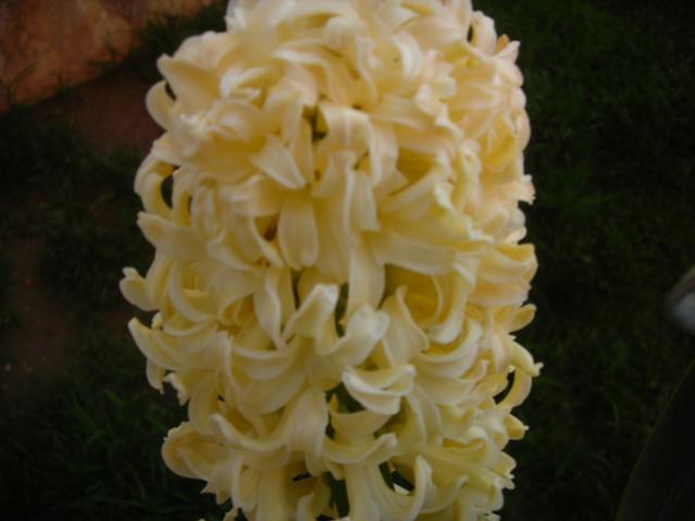 Name:  DSCN4730.jpg
Views: 478
Size:  28.7 KB