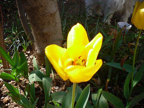 Name:  SDC11957.jpg
Views: 765
Size:  51.9 KB