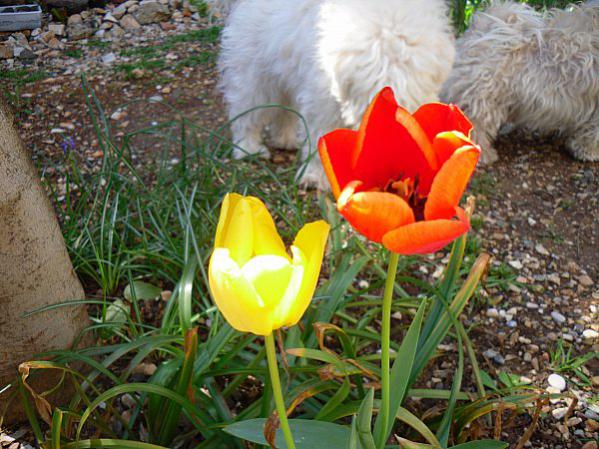 Name:  SDC11958.jpg
Views: 752
Size:  62.1 KB