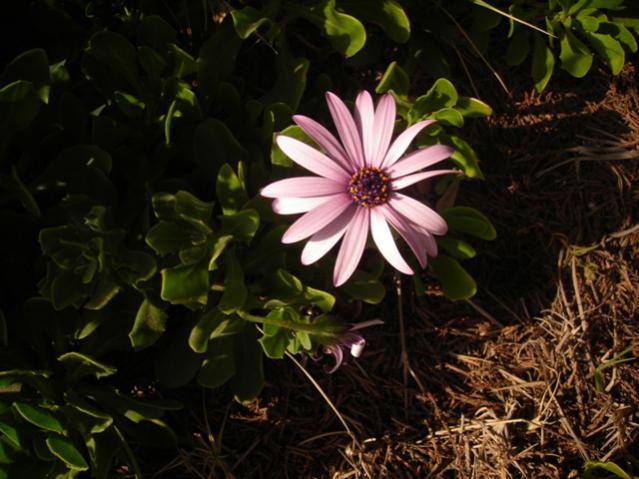 Name:  DSCN4902.jpg
Views: 477
Size:  48.5 KB