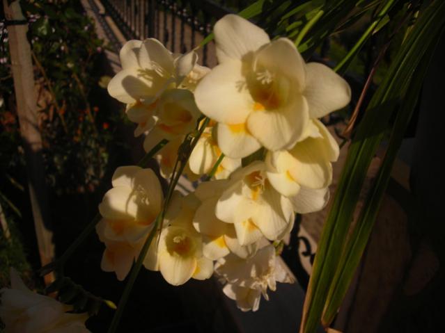 Name:  DSCN4926.jpg
Views: 573
Size:  33.3 KB