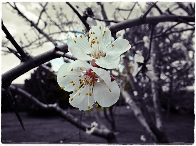 Name:  a3.jpg
Views: 1146
Size:  45.3 KB