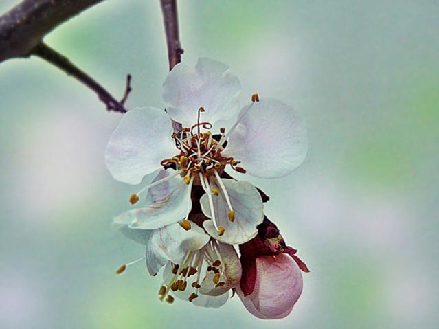 Name:  a4.jpg
Views: 1128
Size:  27.9 KB
