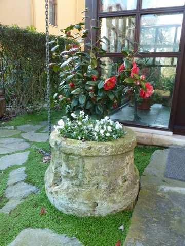 Name:  Bahe 12 Nisan 2011 043.JPG
Views: 839
Size:  43.9 KB
