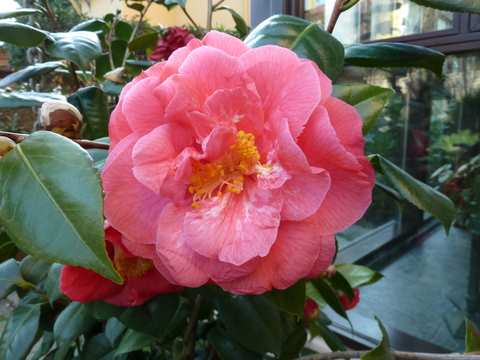 Name:  Bahe 12 Nisan 2011 031.JPG
Views: 830
Size:  42.5 KB