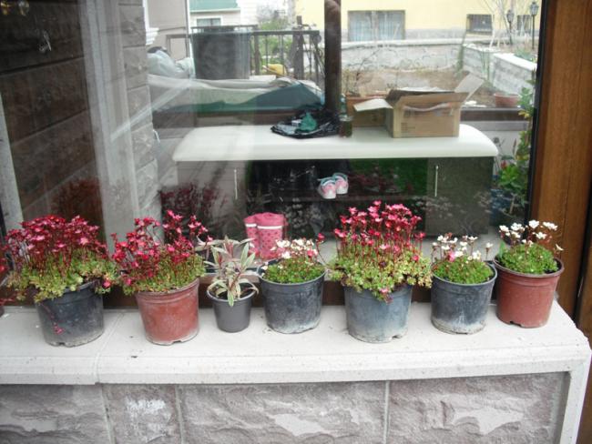 Name:  DSCF2069.jpg
Views: 1131
Size:  54.9 KB