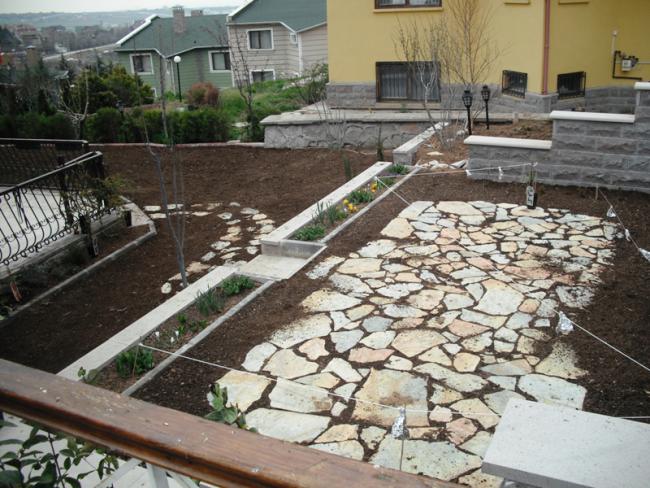 Name:  DSCF2100.jpg
Views: 1251
Size:  68.2 KB