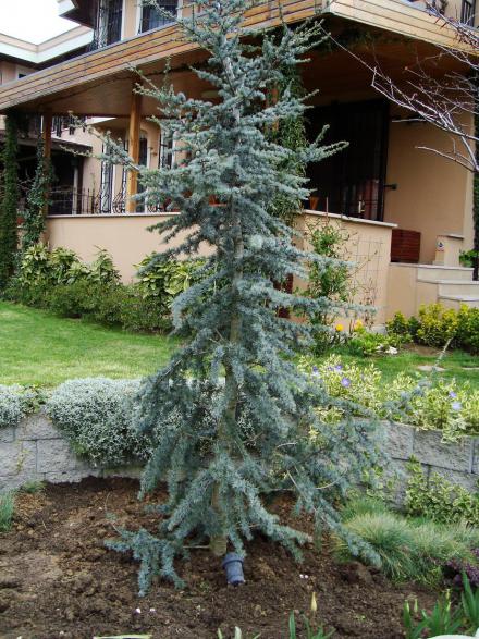 Name:  Eser lhan Bahe 7.jpg
Views: 1773
Size:  73.3 KB