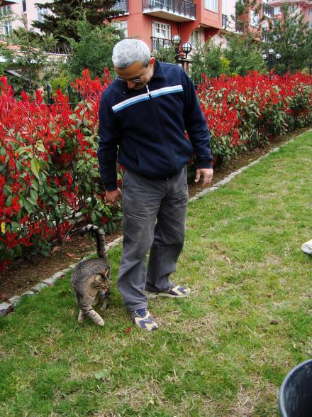 Name:  Eser lhan Bahe 11.jpg
Views: 1227
Size:  73.7 KB