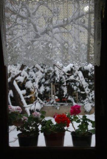 Name:  DSC_0219.jpg
Views: 886
Size:  31.9 KB
