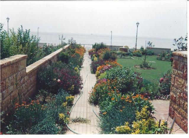 Name:  6.jpg
Views: 2308
Size:  56.7 KB
